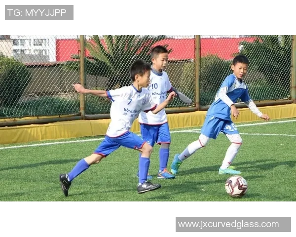 足球生路过：从青涩少年到职业球员的成长故事与奋斗历程